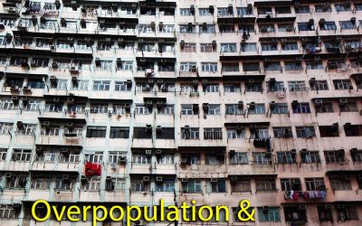 Superpoboación e transición demográfica