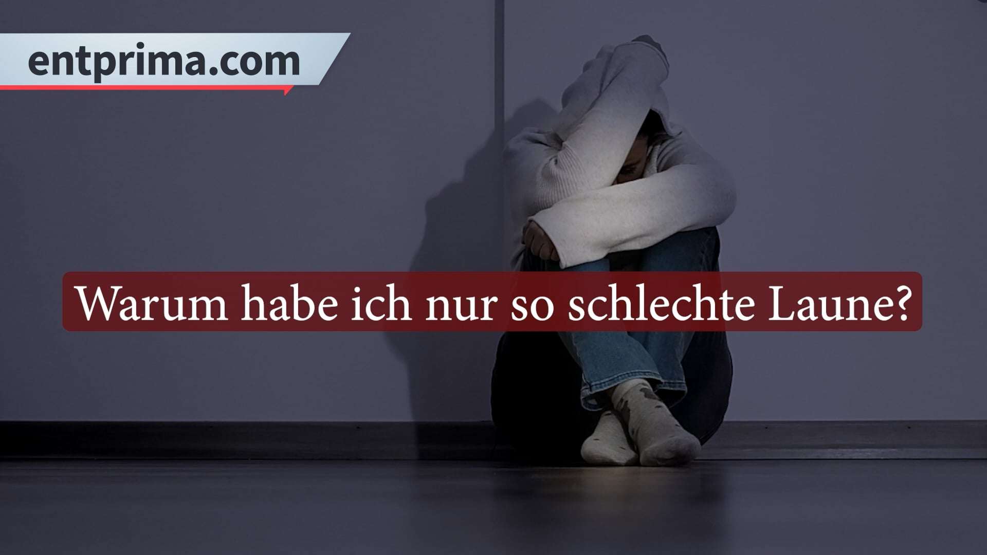 Community Content Overview Entprima Publishing community-content-overview-entprima-publishing