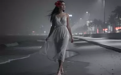 Brasil Night – Songwriter’s Imagination